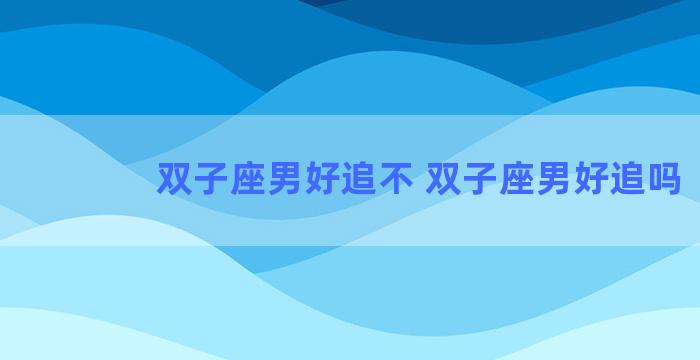 双子座男好追不 双子座男好追吗